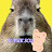 Capybara | bs