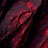 @lsks319's avatar