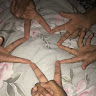 Автор