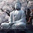 FVYyAGyxTz8-channel-avatar-Lotus Awakening