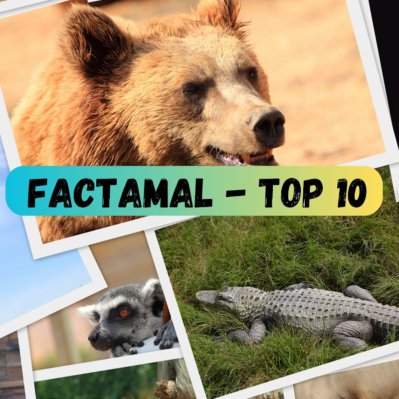 Factamal