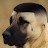@Don_bender1