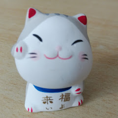猫がいる生活アイコン画像