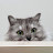 @n_n___eun