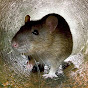Phu Bac Image Thumbnail