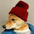 @ChrisIowa's avatar