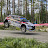 Rallijänis