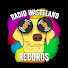 1BiVRJJXB9A-channel-avatar-Radio Wasteland Records