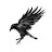 @krowwithakay's avatar