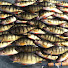 a3BP34UHMqg-channel-avatar-Tight Lines Outdoors