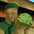 Cabbage Merchant