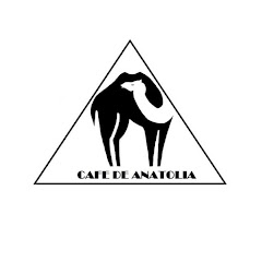 Channel thumbnail for Cafe De Anatolia NoCopyrightMusic