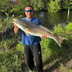 Fish Like Moises