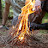 @SurvivalSpec's avatar