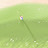 @pgcom-g4i