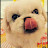 @낼름-e8j