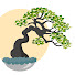 HNJqmNTW0GM-channel-avatar-Danubius Bonsai Klub
