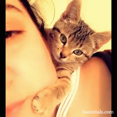 gGg-kL22-k-HVduLcL3VUjX-aTJgtEI6b6MKY7gh