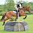 Footluce Eventing