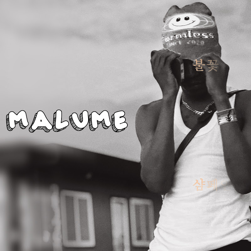 IBRA MALUME