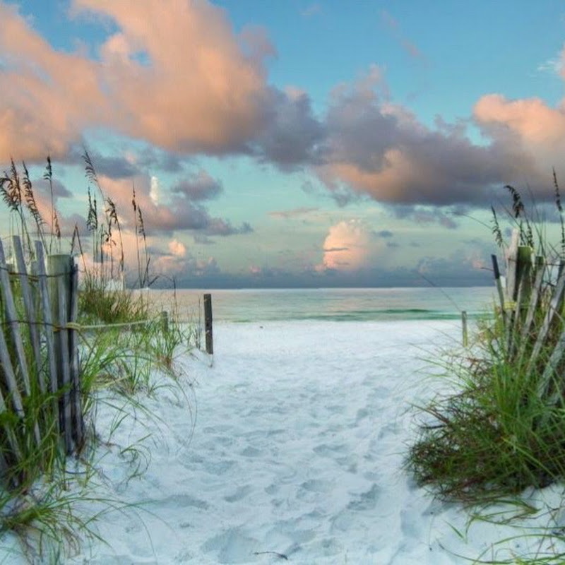 Along The Emerald Coast