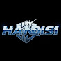 Hanqisi logo