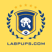 LabPups.com