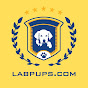 LabPups.com
