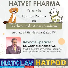 HATVET PHARMA YouTube channel