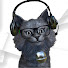 BS0pzEYbq6E-channel-avatar-Koga Kocheng Gamer