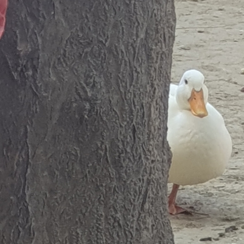 Hire Sagittarius — Anime & Manga Reviews/Discussions YouTube creator for sponsorships