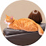 4fM9qLMWoJ4-channel-avatar-アラフィフまち、だいたい家にいます。