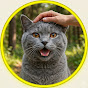 Samtpfötchen Avatar