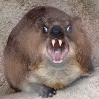 YoSoyZarTek 2.0 profile image
