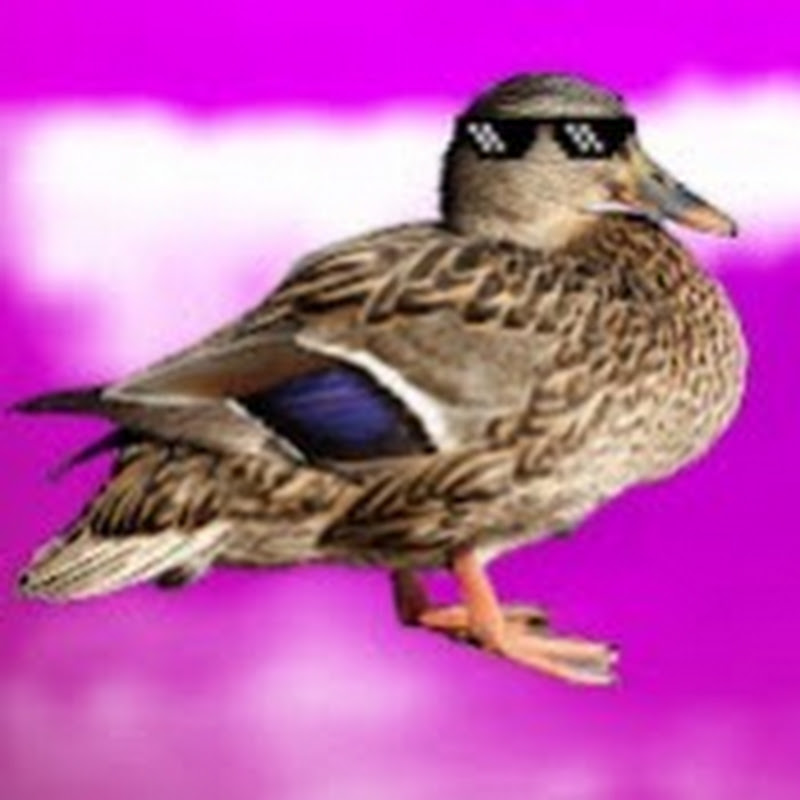 Profile Banner of LilyTheDuck