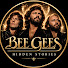 XJXKSNBL864-channel-avatar-Bee Gees Hidden Stories