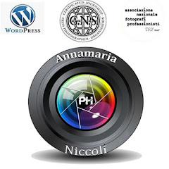 Annamaria Niccoli Fotografo e VideoMaker net worth