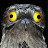 @MoDub18 Avatar