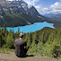 mXExovreX88-channel-avatar-Easy Travel with Andrew