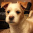 @user-ar1gpqbxm