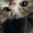 @ak_yousef