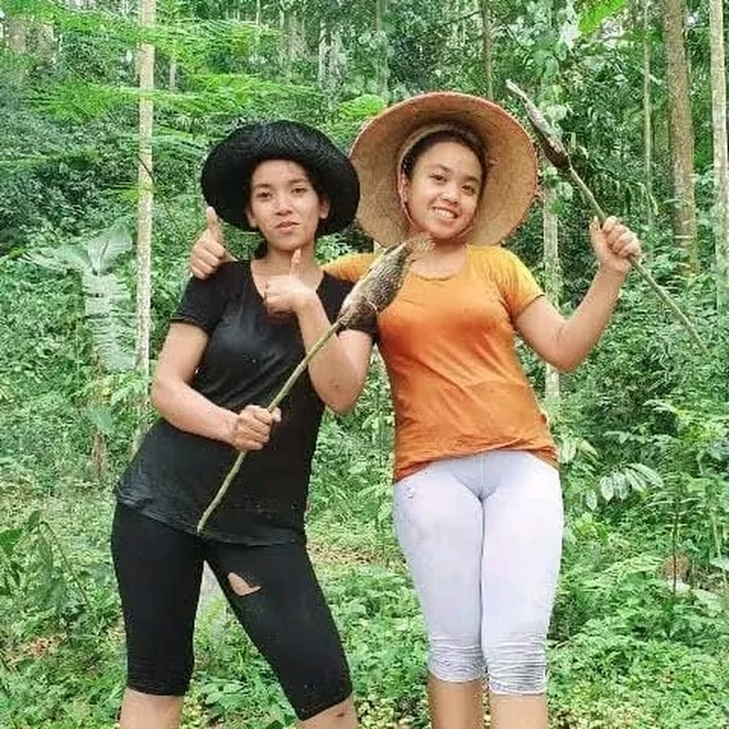 Jia survival 