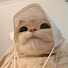 qdj4AqmazV0-channel-avatar-Henori