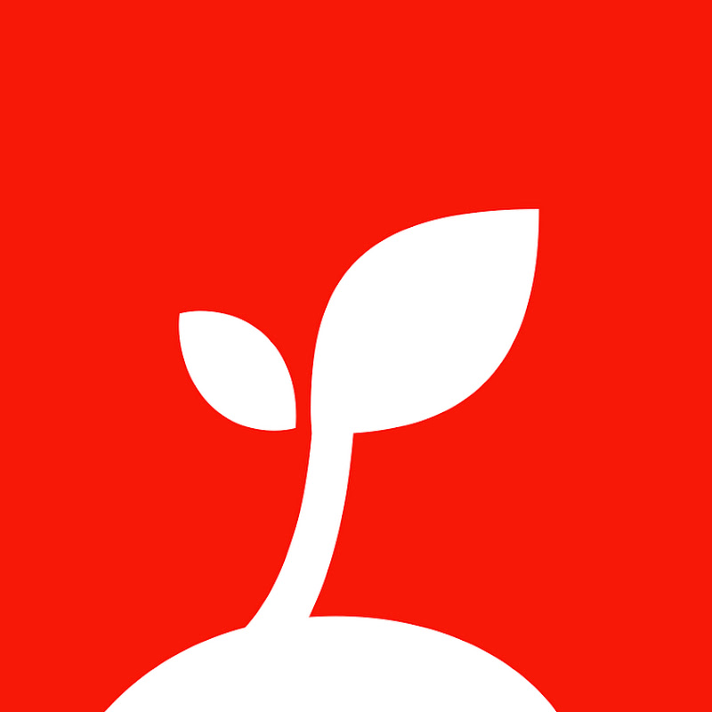 メシのタネのサムネイル