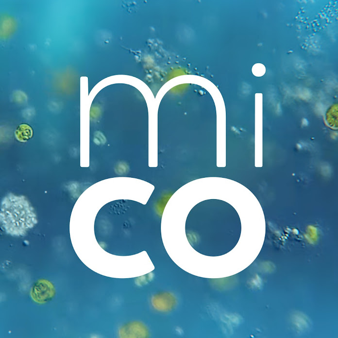 Journey to the Microcosmos Net Worth & Earnings (2022)