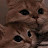 @SallyAlaa-m3f