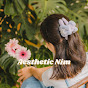 Aesthetic Nim Avatar