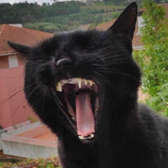 LitoMMB