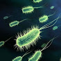 world of microbes  logo
