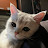 @RohaCat